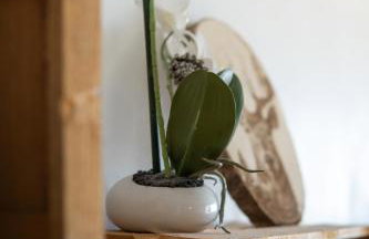 Les Fougères - Foto 15