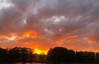 Hundeurlaub im Tiny House im Wald - Foto 64