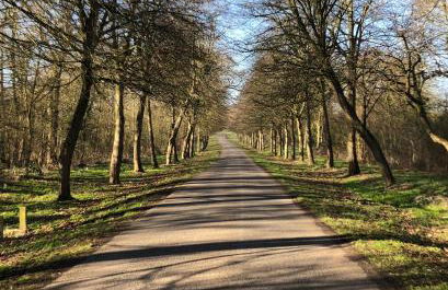 The Old Cheese Press, Eckington - Foto 30