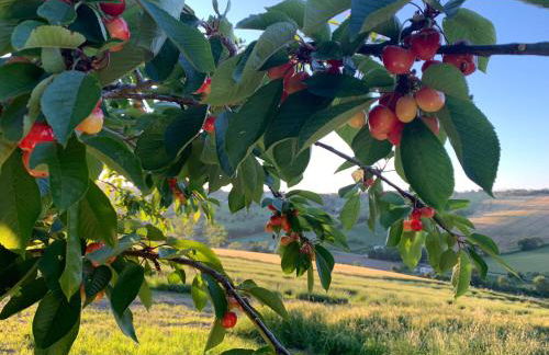 Agriturismo La Corte - Foto 7