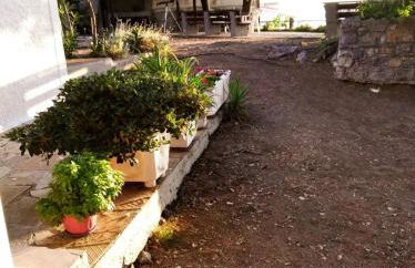 Dialiskari #2 - Foto 28