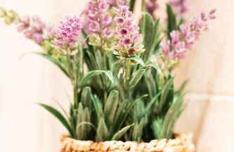 Kamiñalde - baskeyrentals - Foto 13