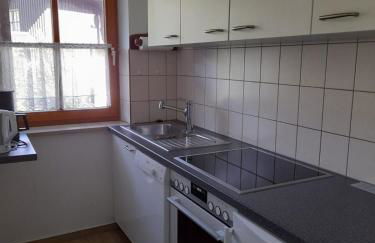 Ferienwohnungen im Feriendorf Reichenbach Nr 10 - Foto 22