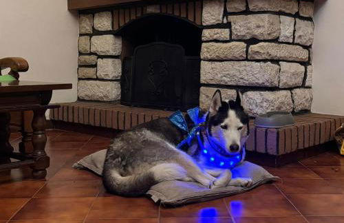 Verde Mare apartment Rosignano Marittimo - Foto 8