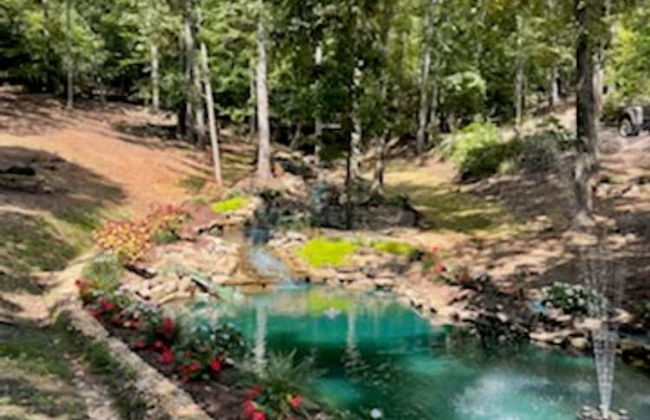 Bellissimo Castle - Foto 43