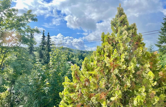 Charming Holiday Home With Garden - Foto 41