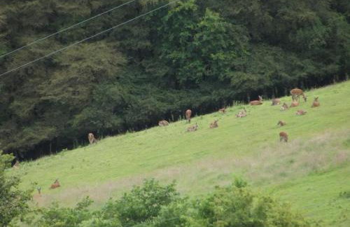 2 Bed in Dulverton oc-90558 - Foto 18