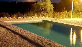 Trulli Fichi Luxury Trullo with Private Spa and Saltwater Pool - Foto 5