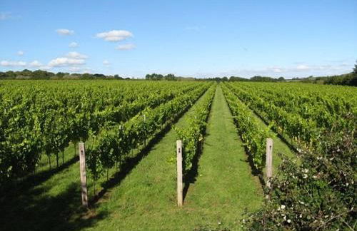 Tree-Tops Treehouse Eco Retreat - Photo 35