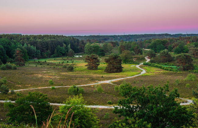 2 bedroom House in Brunssum with terrace - Photo 12