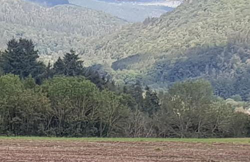 Ferienwohnung Blum - Foto 38