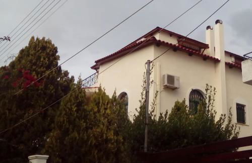 Artemis Sunrise - Foto 60