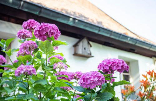 La maison alsacienne Strasbourg - Foto 40