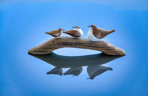 New sunset views - Photo 18