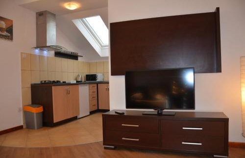 Apartamenty Milówka Centrum - Photo 33