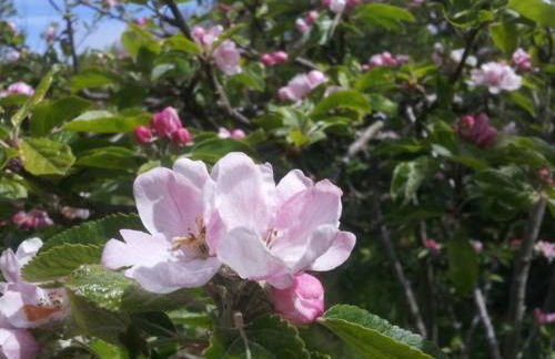 The Cwtsh at Ffynnon Clun: unique. - Photo 18