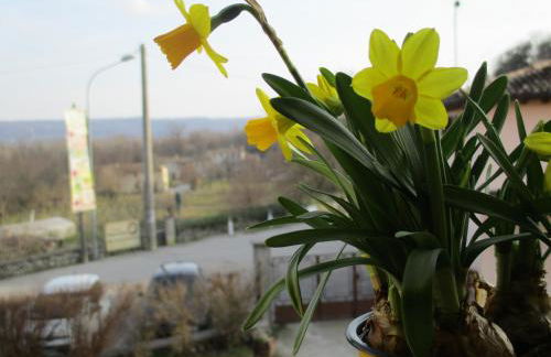 La Corte Di Ottorina - Foto 50