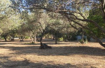 Rose BB maison de charme - Foto 6