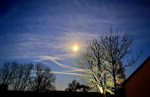 Ferienwohnungen Dargatz - Foto 39