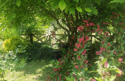 Relaks w boberkach Prywatna sala do Bilarda - Foto 55