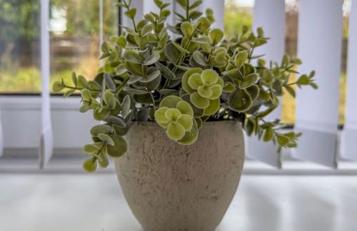 Duffus Nights - Foto 10