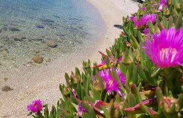 Apartmani BaSaDa by the sea Kuciste - Perna, Peljesac - 4545 - Foto 7