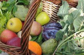 Cottage Eco-Friendly Barcelona country side - Foto 14