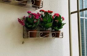 GUARÁS - Complete & excellent locationCOP 30 - Foto 42