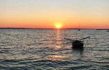 Apartmani Lavanda - Foto 37