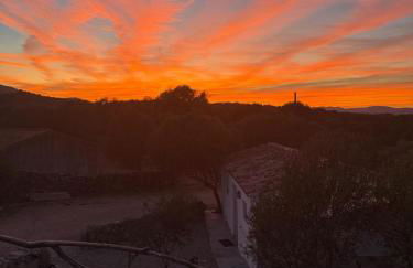 Stazzu Pittorra - Foto 10