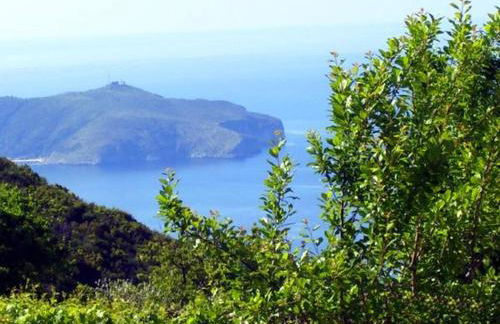 Casa Pallino - Photo 9