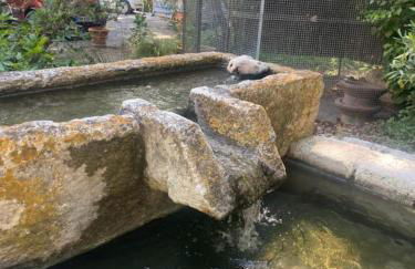 La Maison perchée - Mas de Rousseau - Foto 14