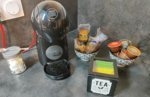 Appartement T2 "JUNGLE" Centre Ville de VITRÉ au calme coté cour - Foto 8