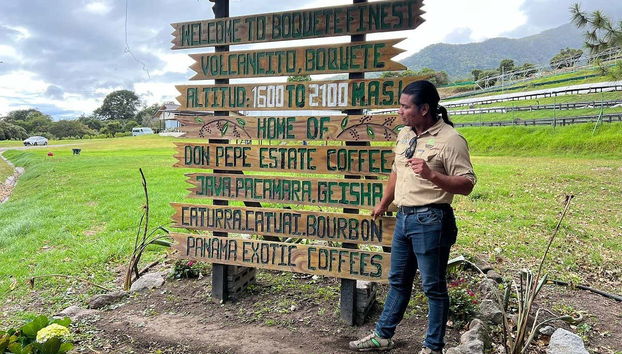 Visitando una piantagione di caffè ad alta quota a Boquete