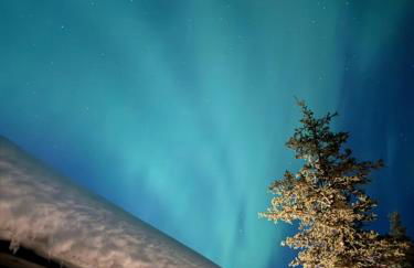 Little Bear Getaway Cabins - Foto 15