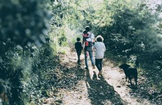 Villa Oliviana - Foto 71