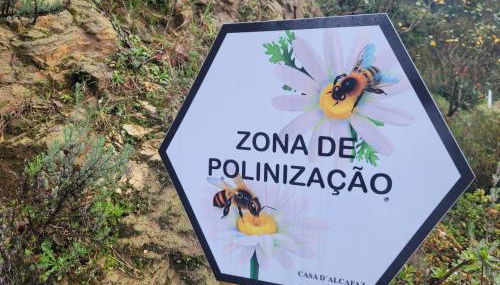 CHALÉ, Pedra, Isolada, Natureza, Rio - Ecoturismo - Photo 4