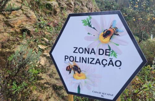 CHALÉ, Pedra, Isolada, Natureza, Rio - Ecoturismo - Foto 4