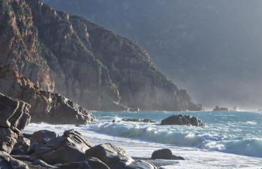 T2 vue mer & montagne Golfe de Porto-Ota - Foto 43