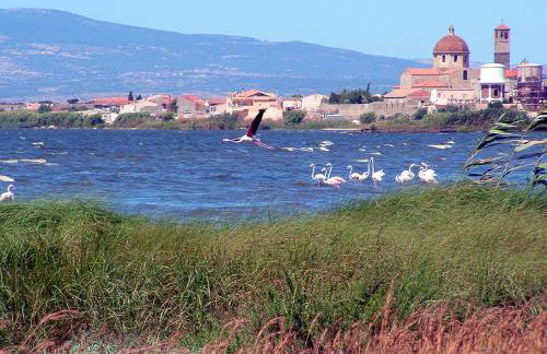Agriturismo Sa Ruda - Foto 45