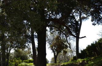 Holiday stay by Federica - Foto 29