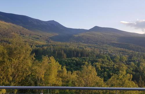 Apartamenty KADO (MATEJKI) - Photo 26