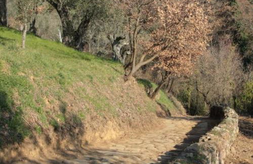 La Costareccia - Foto 18