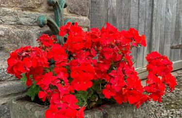 Coach House - Foto 29