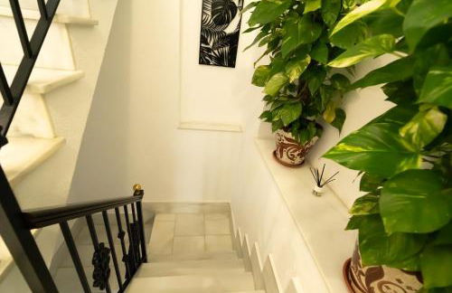 Apartamentos Consistorio Live - Foto 33