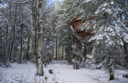 Cabanes des Volcans - Foto 15