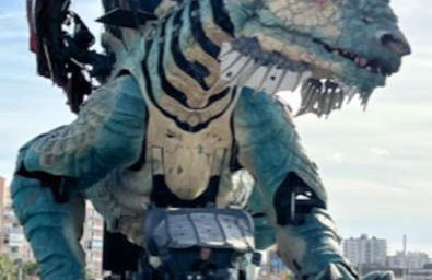 Vue sur dunes ! - Foto 15