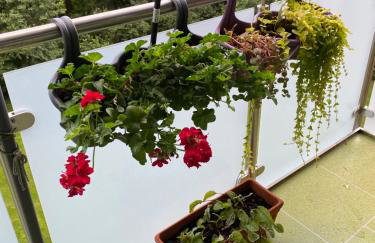 Die Welt zu Gast bei Freunden - Foto 17