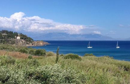 Margarita House - Photo 40