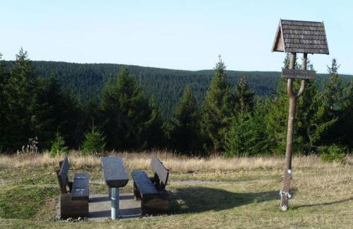 Family Theermann - Foto 12